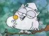 MisterOwl Avatar
