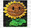 sompm Avatar