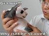 nrfidfjmf Avatar