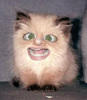 burnthechildren Avatar