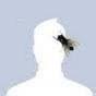 RomanR Avatar