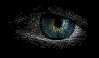 miniroll Avatar