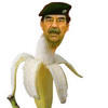 horsecrab Avatar