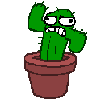 megacoconutman Avatar