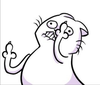 lolothundah Avatar