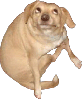 mcclinton Avatar