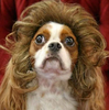 isniffbutts Avatar