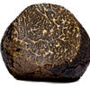 truffle Avatar