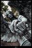 ladyseraph Avatar