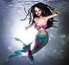 msmermaid Avatar