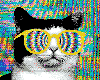majorfly Avatar