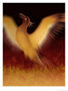 HasGatt Avatar