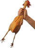 chickenmcgurk Avatar