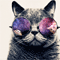 fraqz Avatar