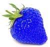 bluestrawberry Avatar