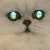lordkazo Avatar