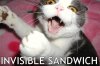 PoisinSandwich Avatar