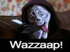 qkz Avatar
