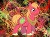 fluttermacintosh Avatar