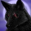 vukxfiles Avatar