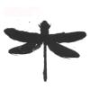 hearshot Avatar