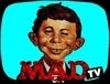 mmaadtv Avatar
