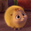 BrainNibbler Avatar