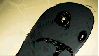 wellingtonkid Avatar