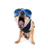DrGoggles Avatar