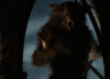 gandalftheblack Avatar