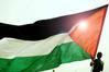 palestinian Avatar