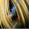 pitch Avatar
