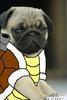 theblastpug Avatar