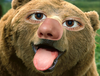 danskbank Avatar