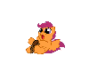 xoger Avatar