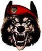 toplica Avatar