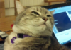 unassembledtable Avatar