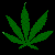 olivr Avatar