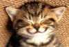 Harlo Avatar