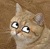 indyjonesrocks Avatar