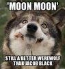 sirmoonmoon Avatar