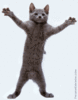 squirrelwithgun Avatar