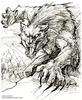 thewhitewerewolf Avatar
