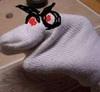 xxsockmonsterxx Avatar