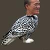 klaemint Avatar