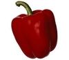 unholycapsicum Avatar
