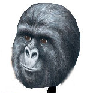 sovietmaxx Avatar