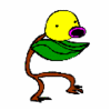 BlahDude Avatar