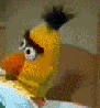gunnarsig Avatar