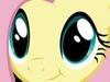 dragonshy Avatar